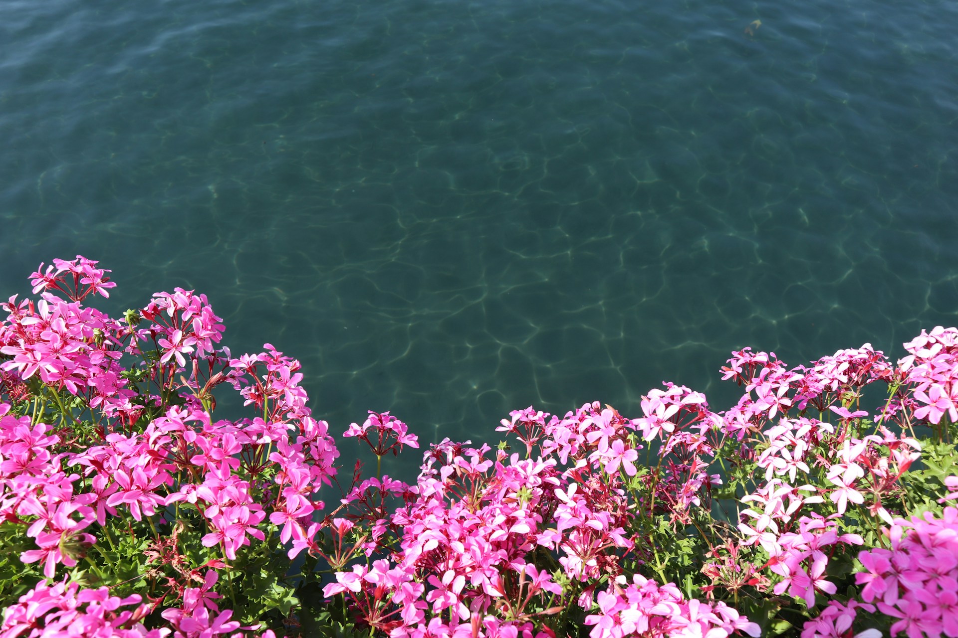 Brondelixia retraite en France